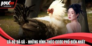Cá độ đá gà