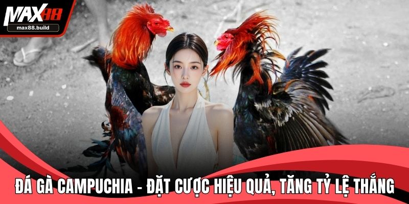 Đá gà Campuchia